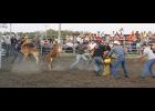 Springfield, Tyndall and Avon Fire Departments came together for something other than an emergency at the Springfield rodeo grounds on July 3. Firefighter teams competed in the calf dressing contest. Photo by Sheila Kremer of the Springfield Times.